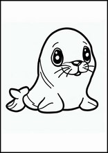 Foca - Animali2