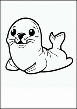 Seals - Animals3