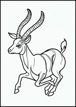 Gazelles - Animals4