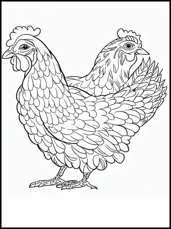 Chickens - Animals 4