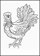 Galline - Animali1