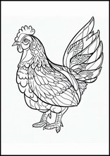 Poules - Animaux2
