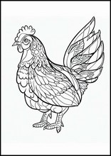 Galline - Animali2