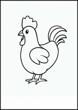 Chickens - Animals3