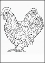 Poules - Animaux4