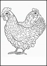 Galline - Animali4