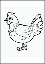 Hühner - Tiere5