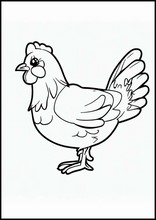 雞5