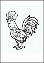Galli - Animali1