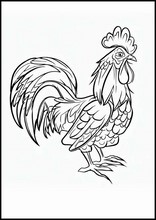 Roosters - Animals2