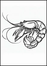 Shrimps - Animals1