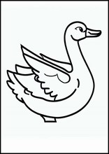 鵝2