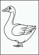 鵝3
