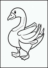 鵝4