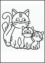 Gatti - Animali4