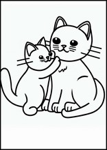 Katzen - Tiere5