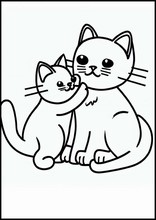 Gatti - Animali5
