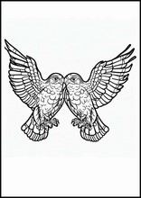 Hawks - Animals1