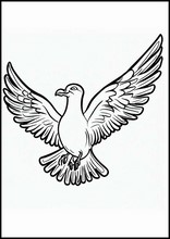 Seagulls - Animals4