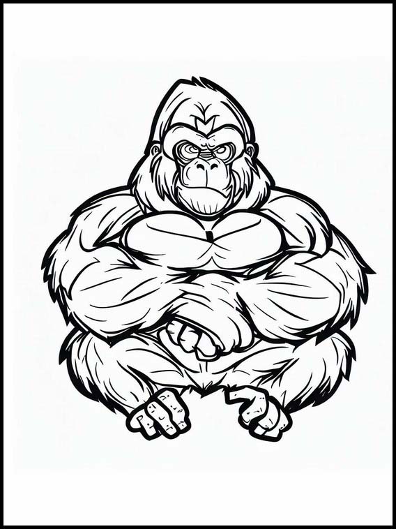 Gorilla - Dyr 3