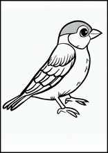 Sparrows - Animals1