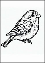 Sparrows - Animals2