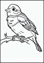 Sparrows - Animals3