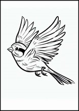 Sparrows - Animals4