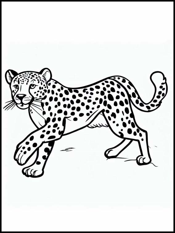 Gepardit - Eläimet 1