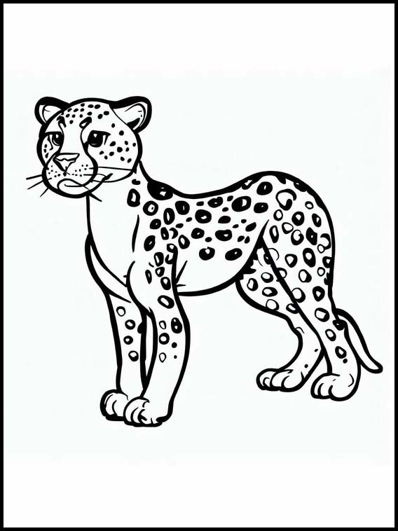 Gepardit - Eläimet 2