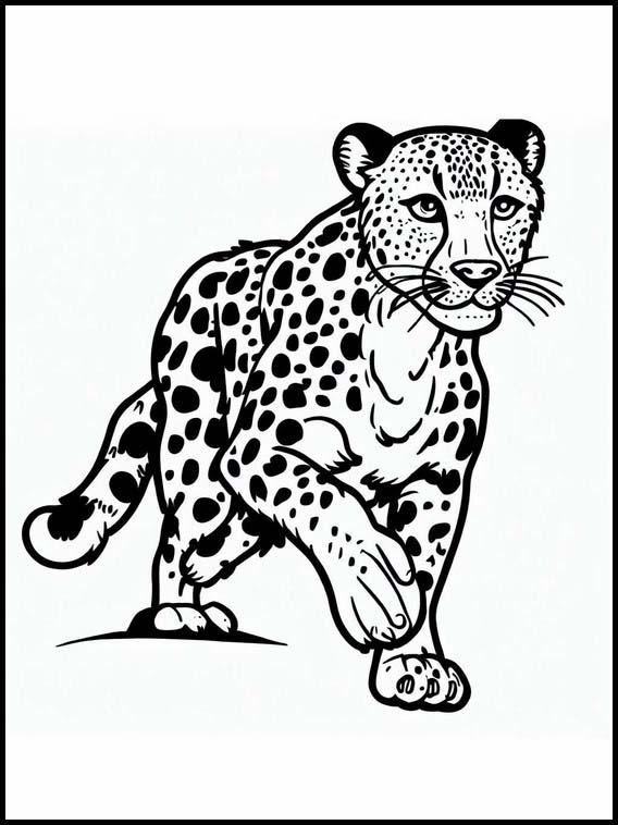 Gepardit - Eläimet 4