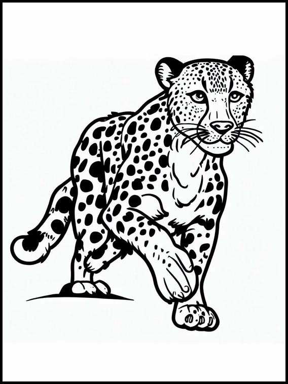 Cheetahs - Animals 4