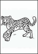 Gepardit - Eläimet1