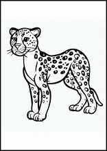 Gepardit - Eläimet2