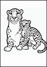 Gepardit - Eläimet3