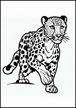Gepardit - Eläimet4