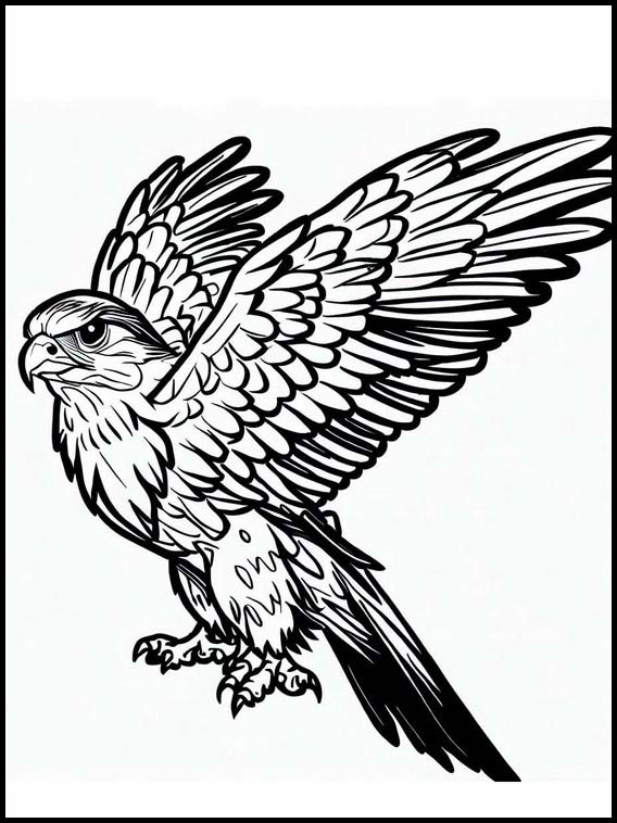 Falcons - Animals 3