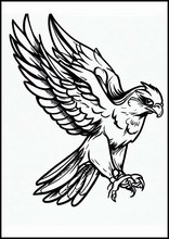 Falcons - Animals1