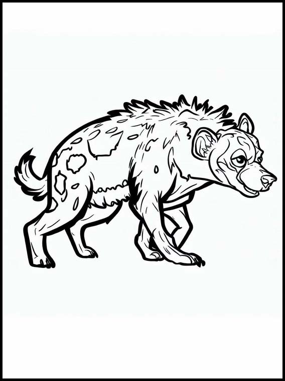 Hyènes - Animaux 4