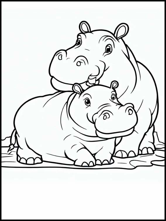 Hippos - Animals 2