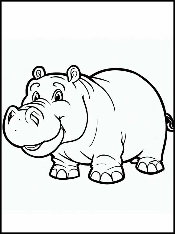 Hipopótamos - Animais 4