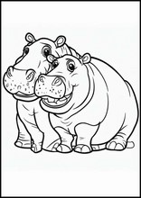 Hipopótamos - Animais1