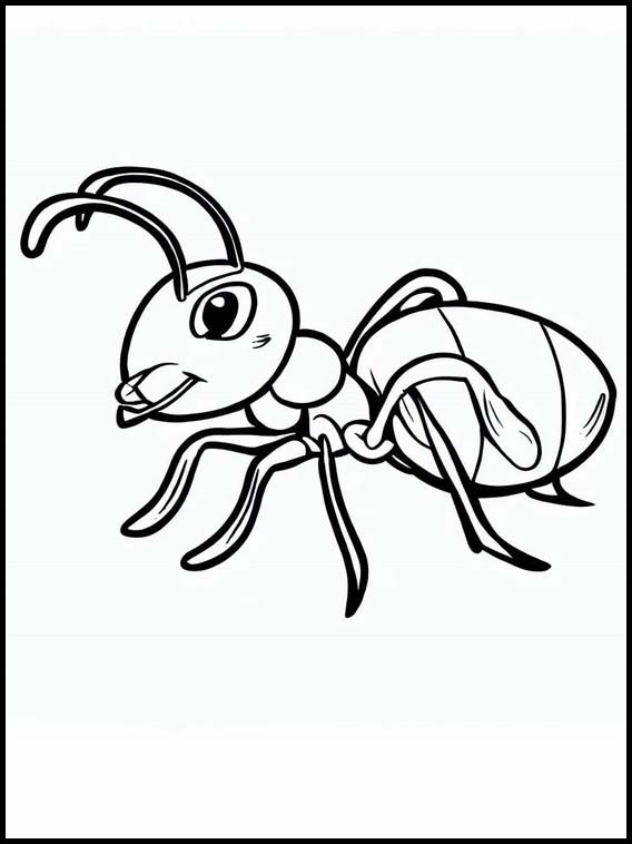 Myrer - Dyr 5