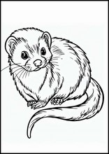 Furetti - Animali2