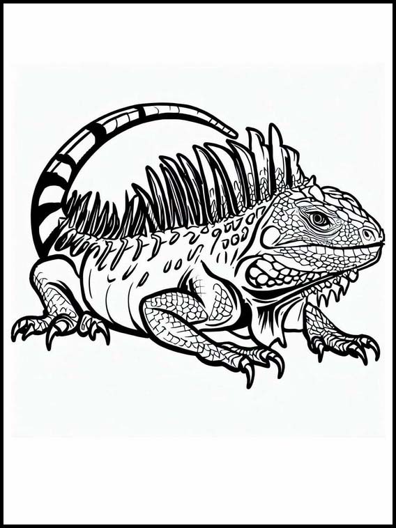 Fargelegging for Barn Leguan - Dyr 1 Leguan - Dyr 1