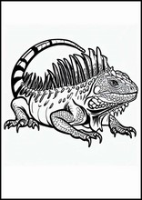 Iguanas - Animais1