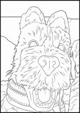 L'isola dei cani2