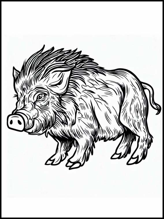 Wildschwein - Tiere 5