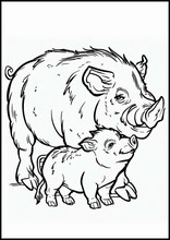 Cinghiale - Animali1