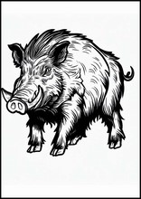 Wildschwein - Tiere2